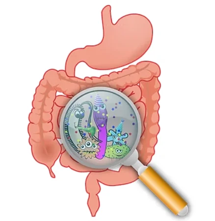 Signs of an Unhealthy Gut and Simple Steps to Heal It?