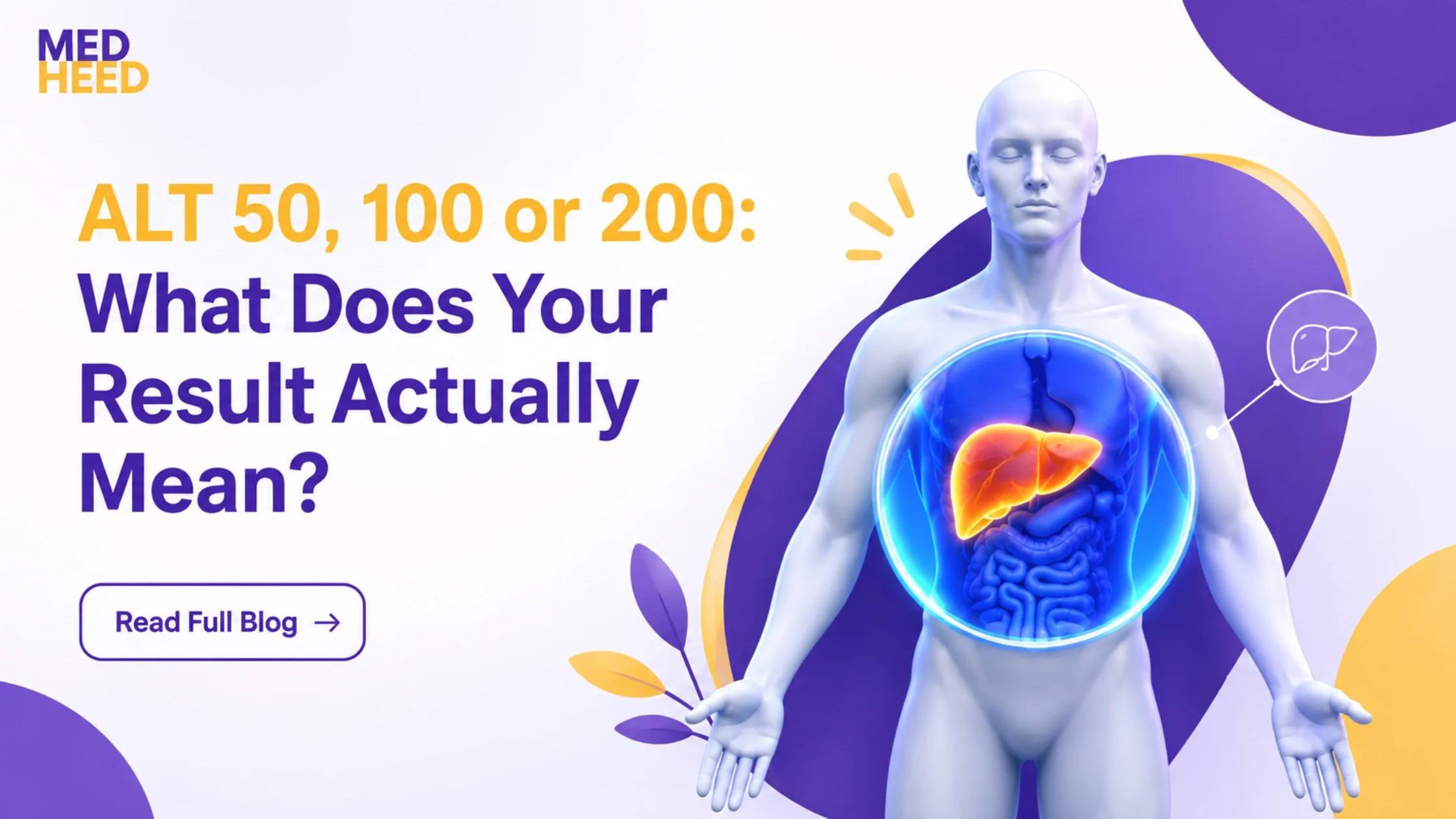 ALT 50, 100 or 200 — What Do Your Liver Enzyme Levels Mean? | Medheed