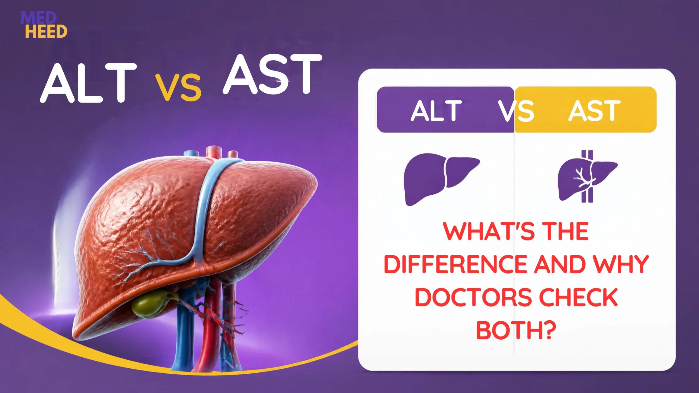 ALT vs AST explained simply. Learn what SGPT and SGOT measure, why doctors check both, and what the ratio between them reveals.
